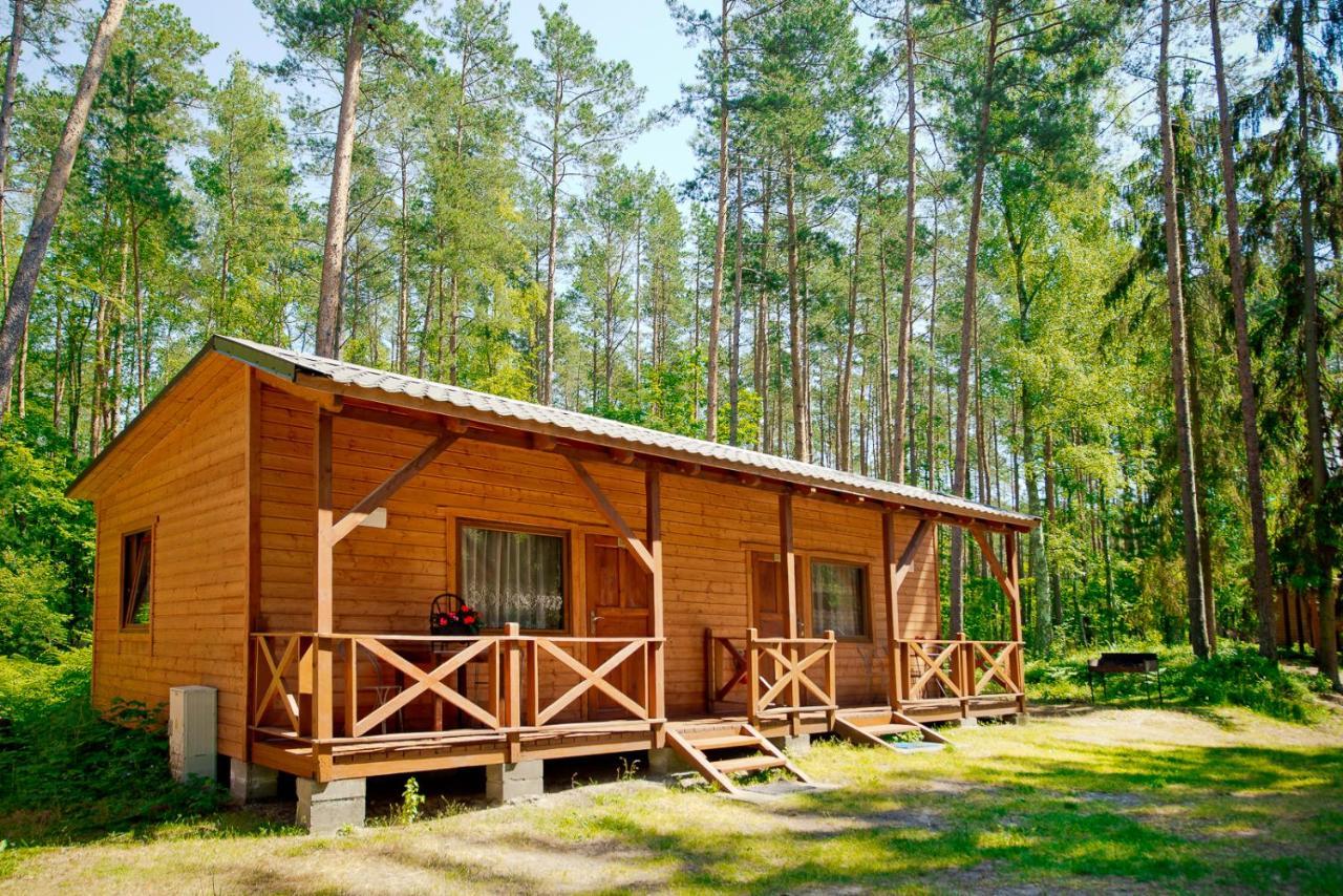 Bed and Breakfast Osrodek Wypoczynkowy Cubex Стегна Экстерьер фото